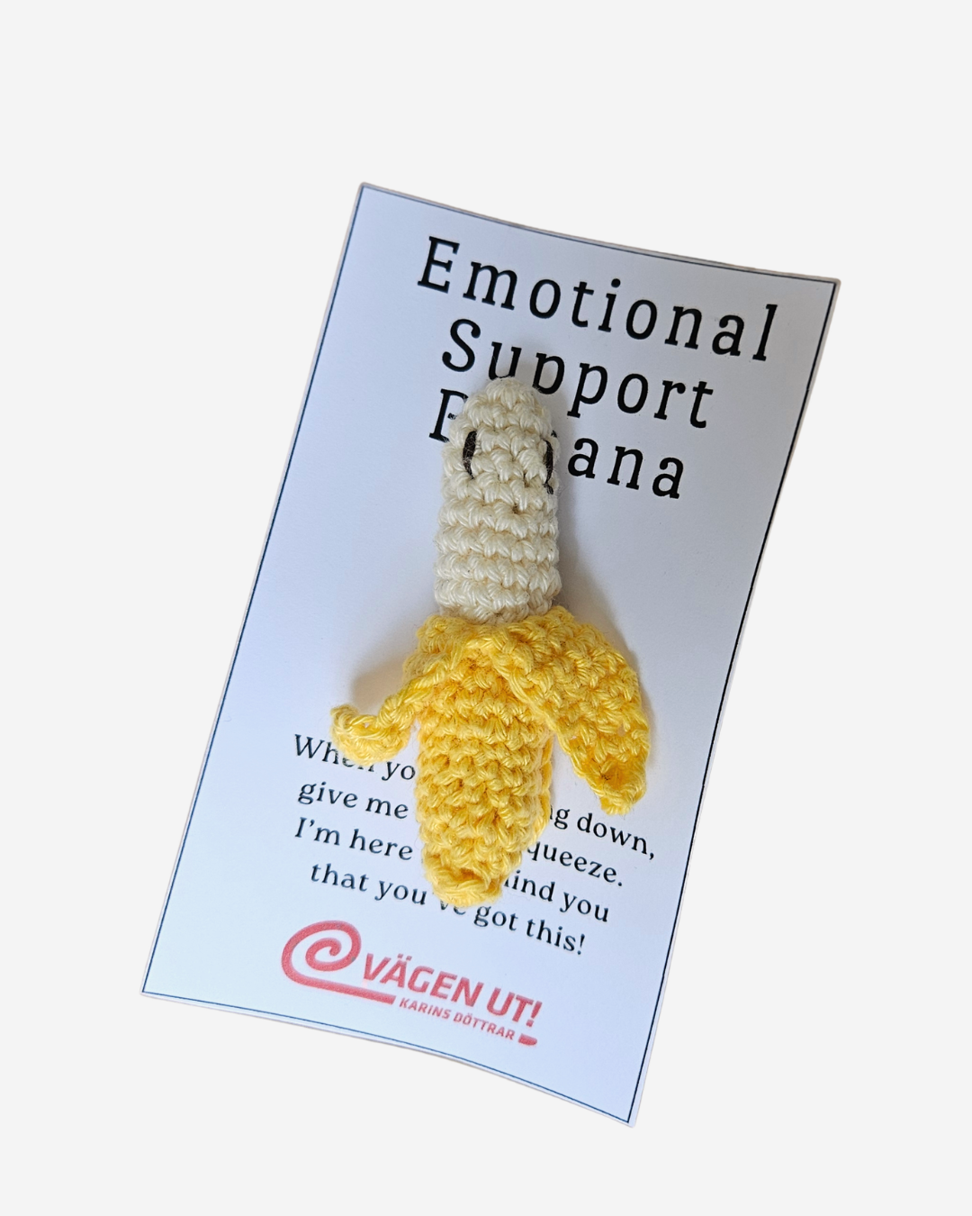 Emotional Support Friends