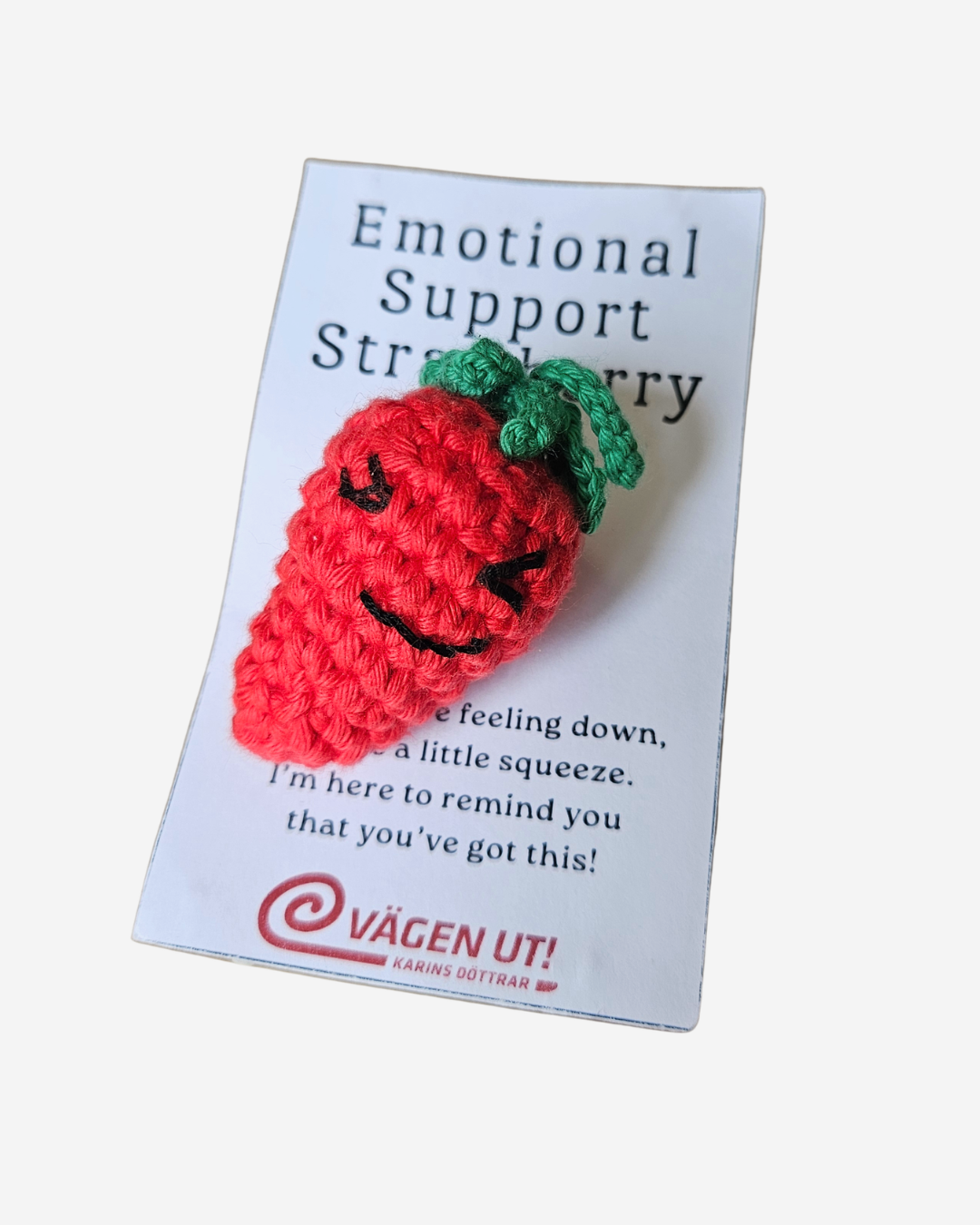 Emotional Support Friends