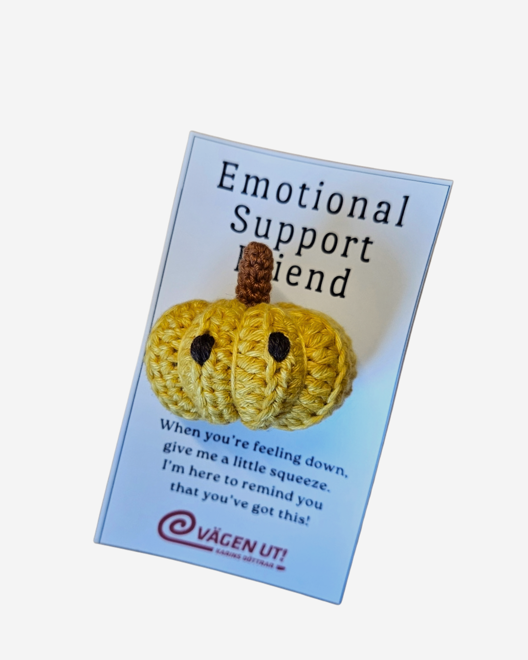 Emotional Support Friends