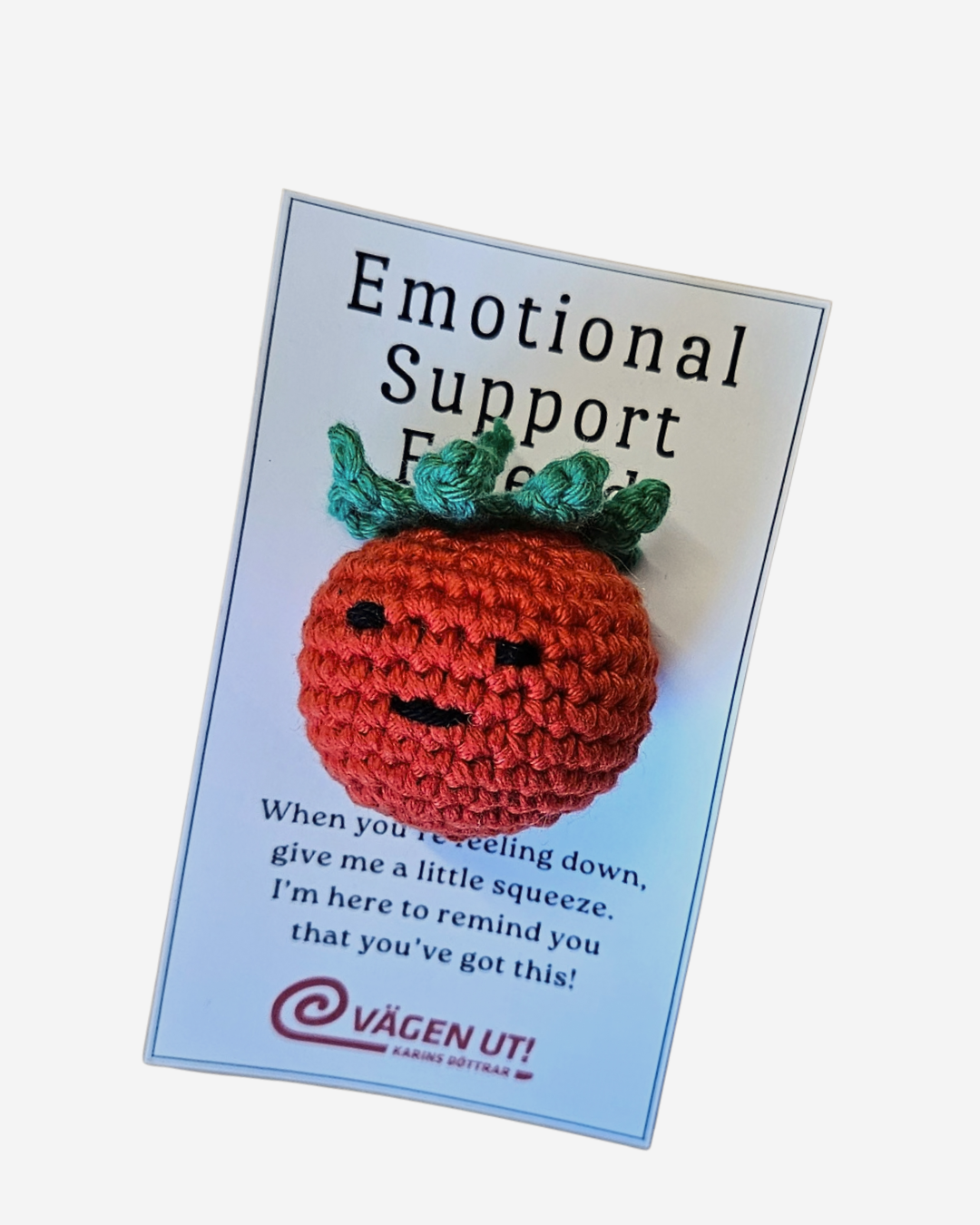 Emotional Support Friends